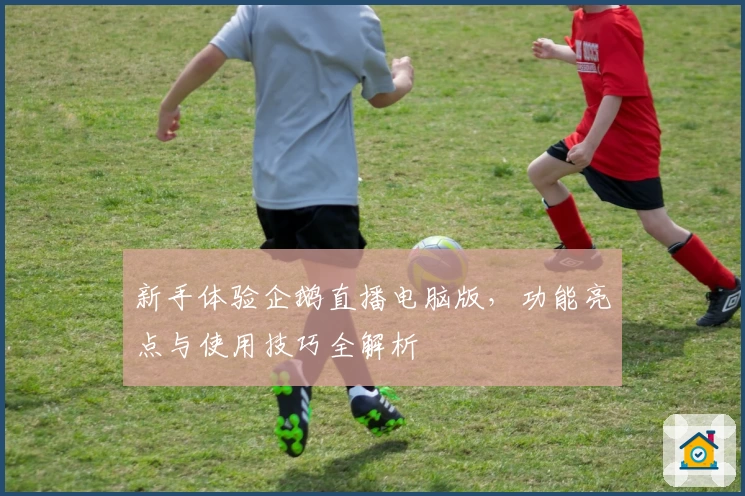 新手体验企鹅直播电脑版，功能亮点与使用技巧全解析