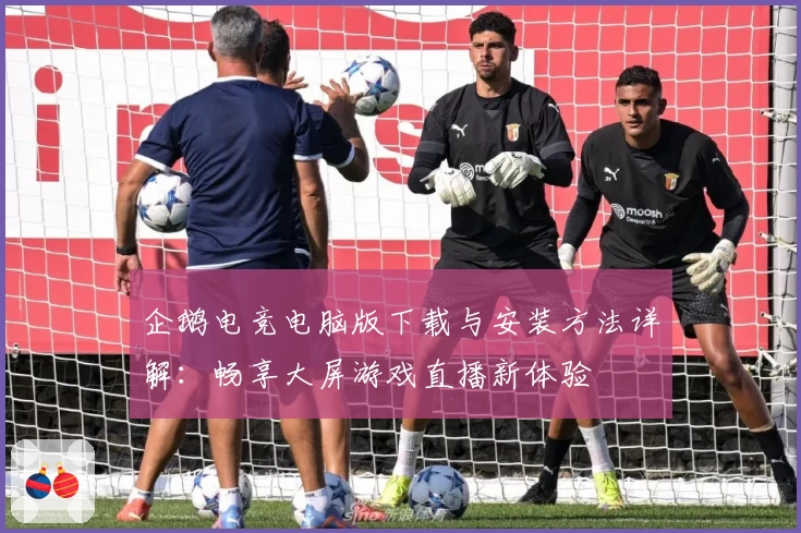 企鹅电竞电脑版下载与安装方法详解:畅享大屏游戏直播新体验