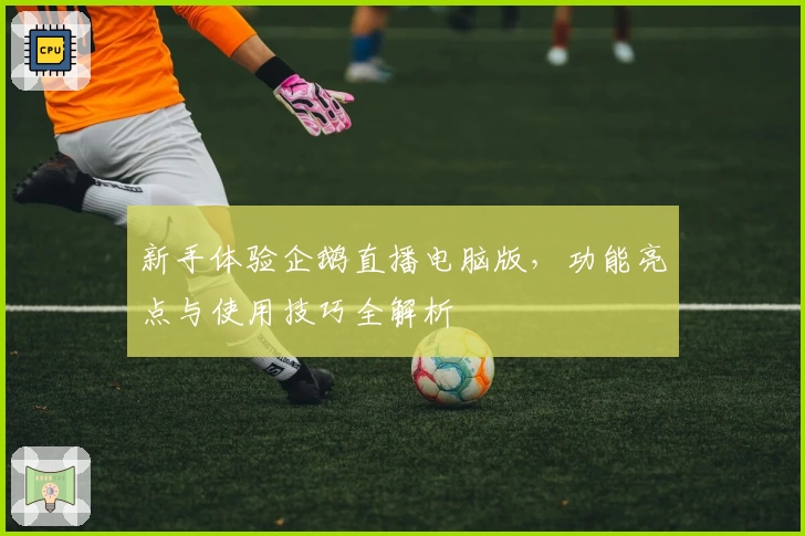 新手体验企鹅直播电脑版，功能亮点与使用技巧全解析