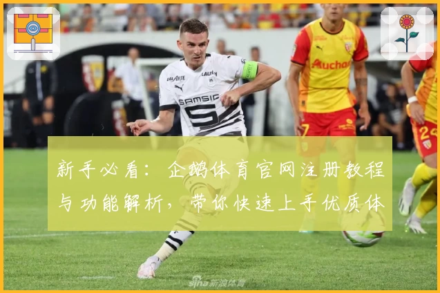 新手必看：企鹅体育官网注册教程与功能解析，带你快速上手优质体验