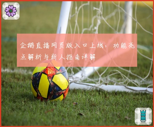 企鹅直播网页版入口上线，功能亮点解析与新人指南详解