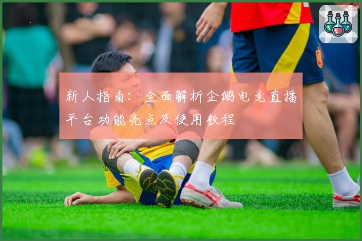 新人指南：全面解析企鹅电竞直播平台功能亮点及使用教程