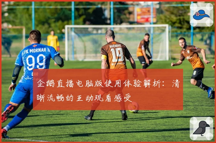 企鹅直播电脑版使用体验解析：清晰流畅的互动观看感受