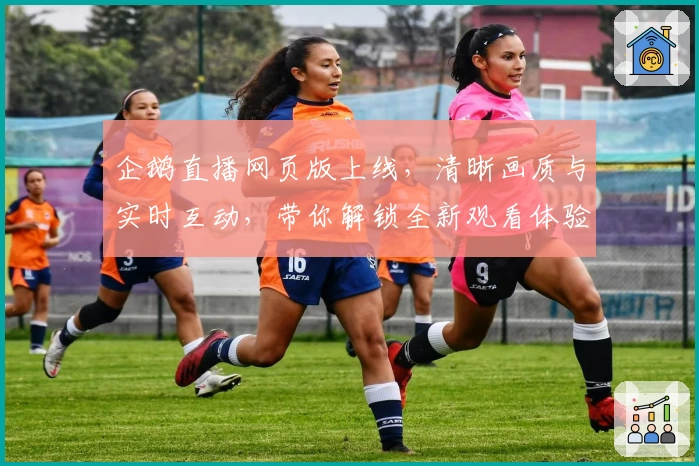 企鹅直播网页版上线，清晰画质与实时互动，带你解锁全新观看体验