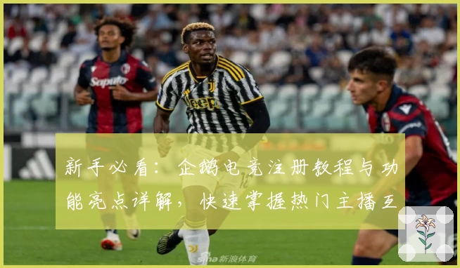 新手必看：企鹅电竞注册教程与功能亮点详解，快速掌握热门主播互动指南